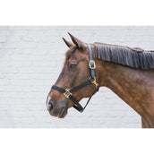 Kentucky Halfter Nylon Breakaway Schwarz