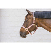 Kentucky Halfter Nylon Breakaway Altrosa