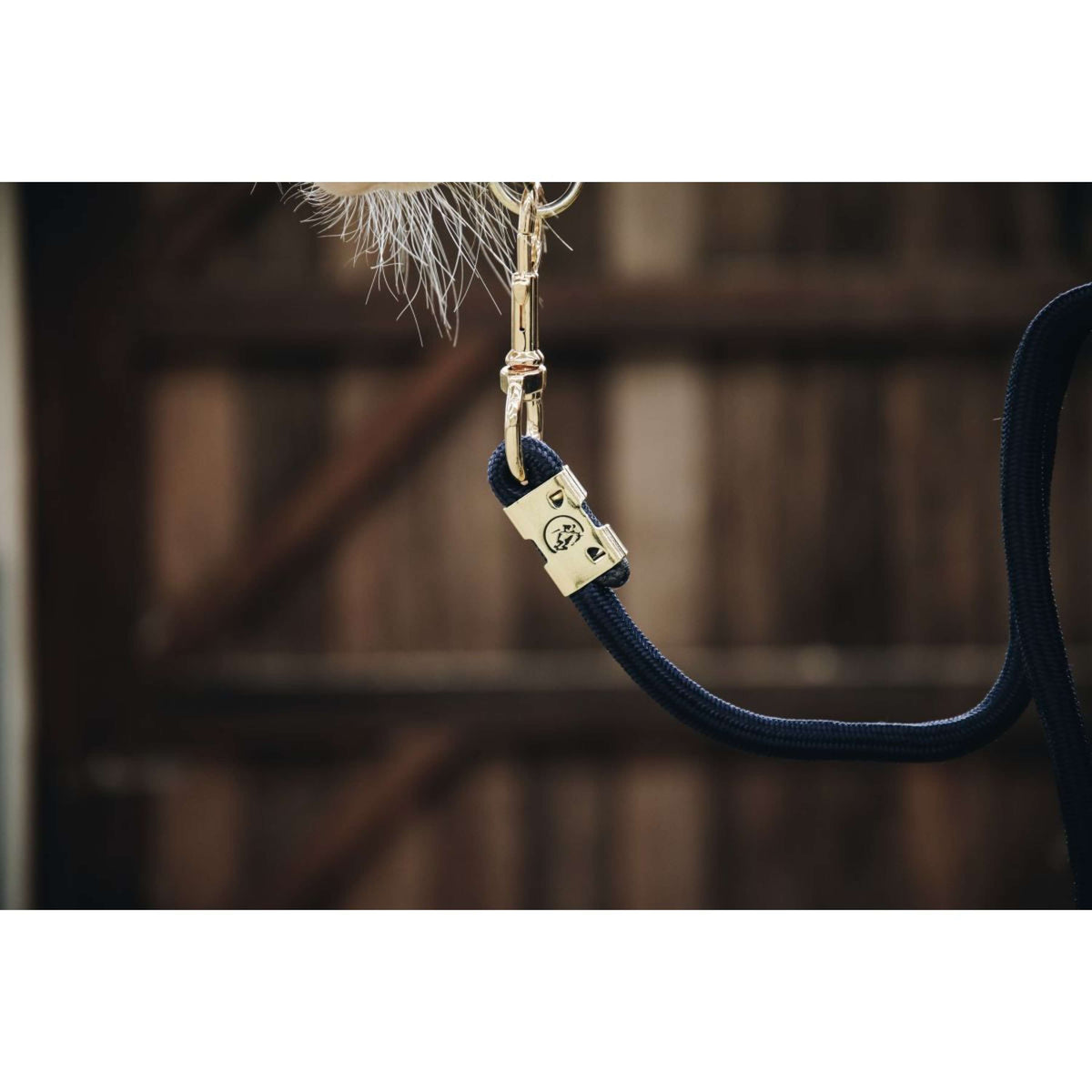 Kentucky Führstrick Basic Navy