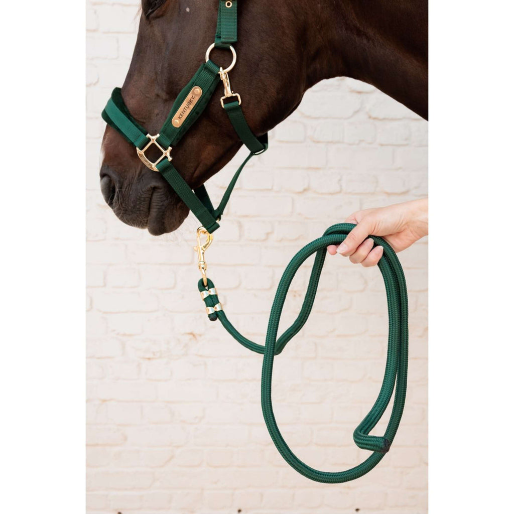 Kentucky Führstrick Basic Pine Green