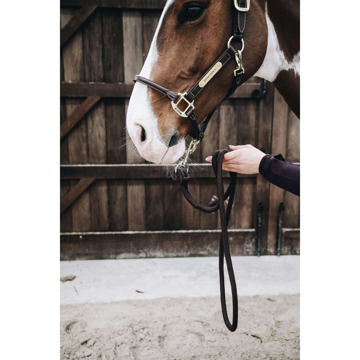 Kentucky Führstrick Loop Braun