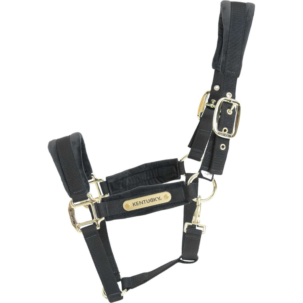 Kentucky Halfter Velvet Schwarz