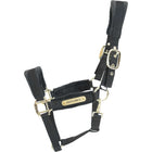 Kentucky Halfter Velvet Schwarz