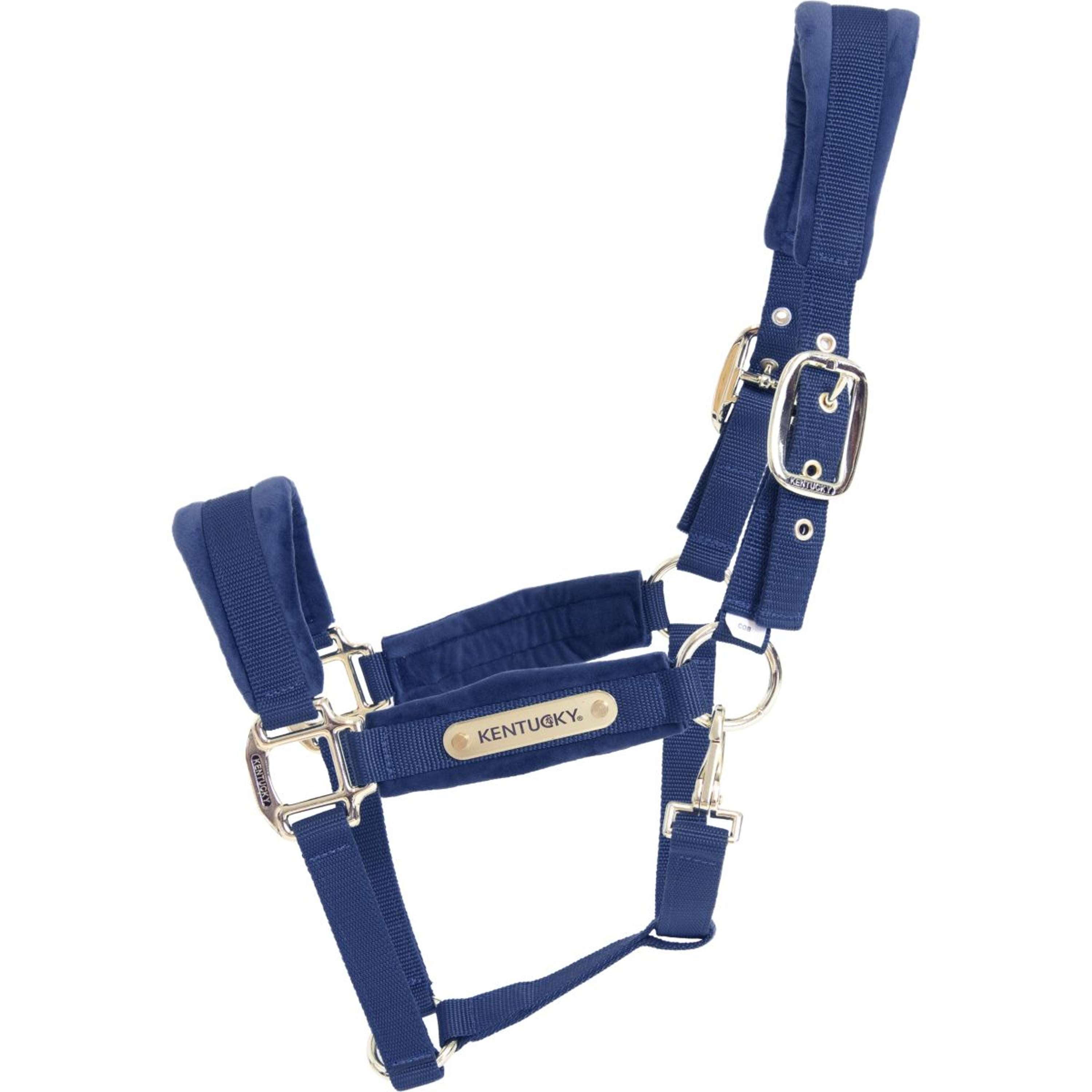 Kentucky Halfter Velvet Navy