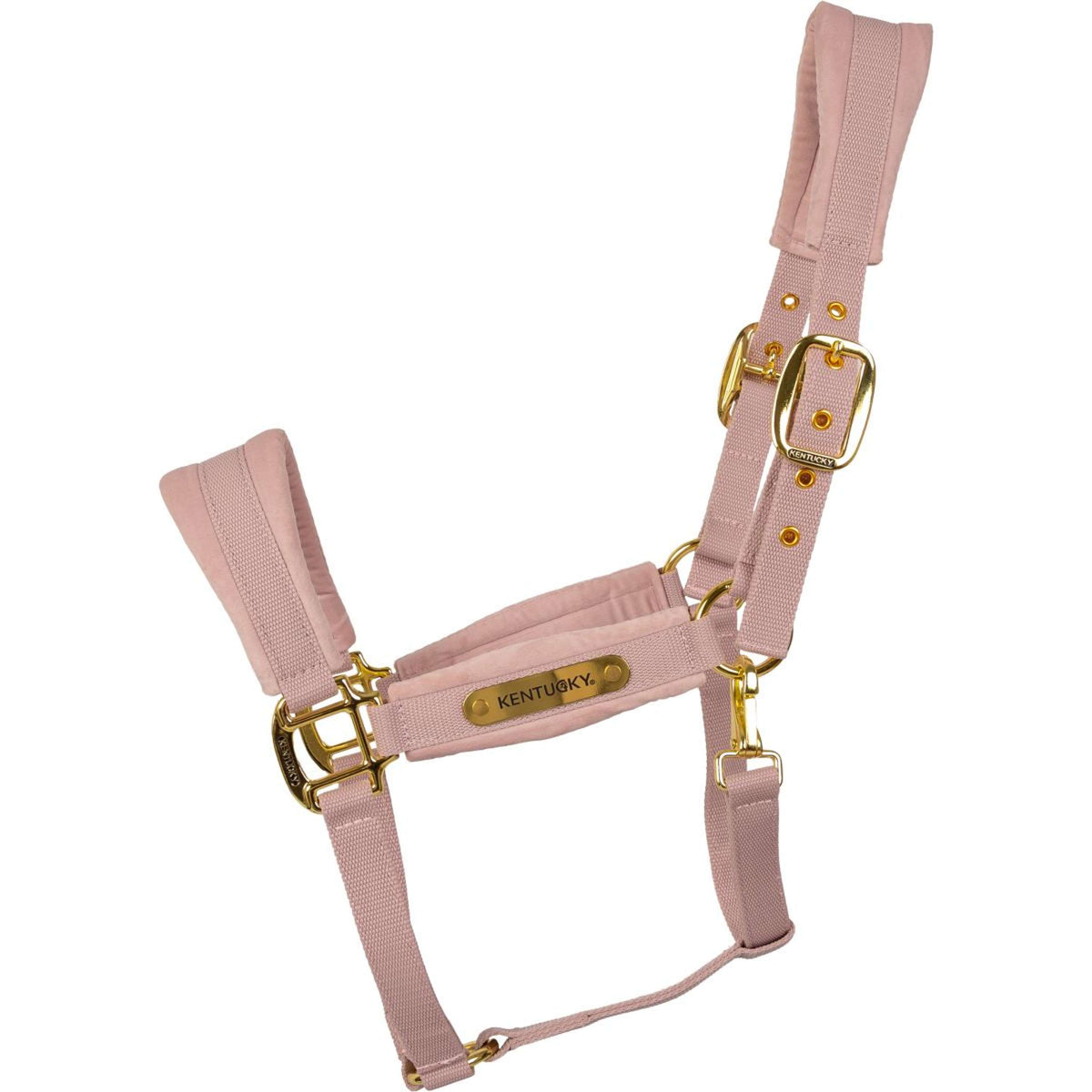 Kentucky Halfter Velvet Soft Rose