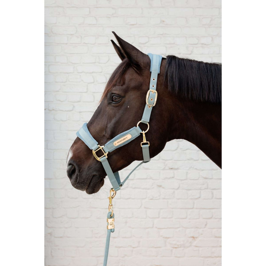 Kentucky Führstrick Basic Hellblau