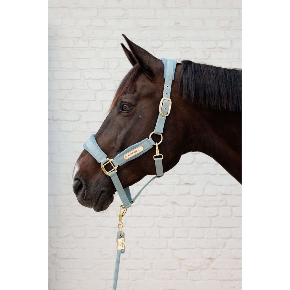 Kentucky Führstrick Basic Hellblau