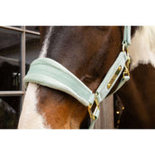 Kentucky Halfter Velvet Mint