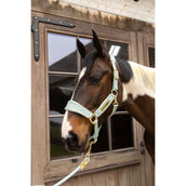 Kentucky Halfter Velvet Mint