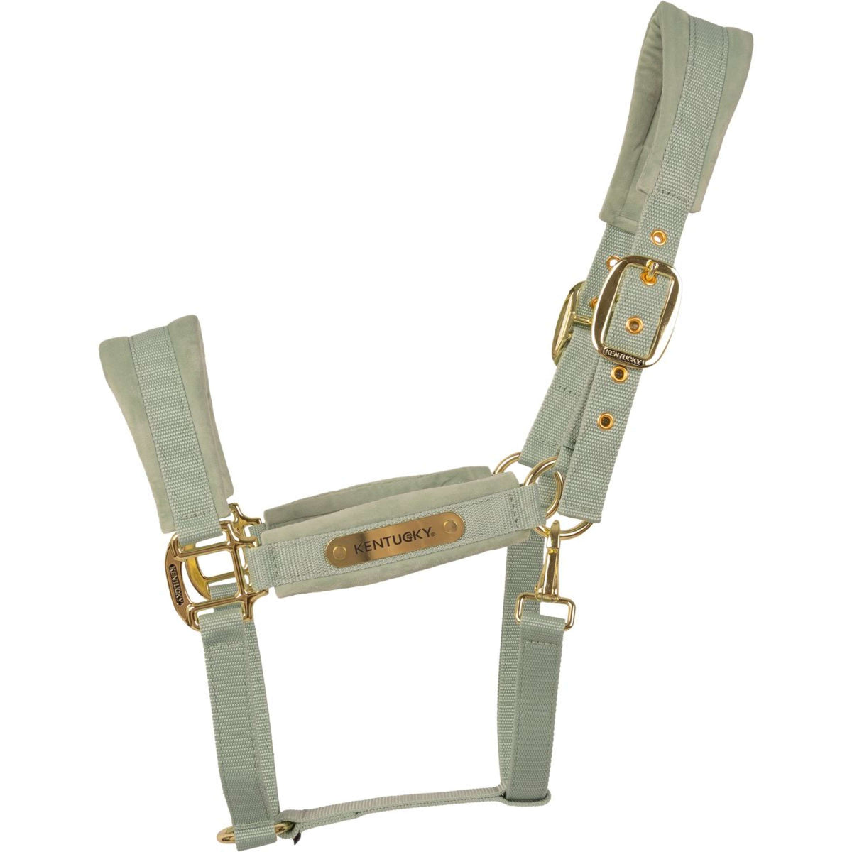 Kentucky Halfter Velvet Mint