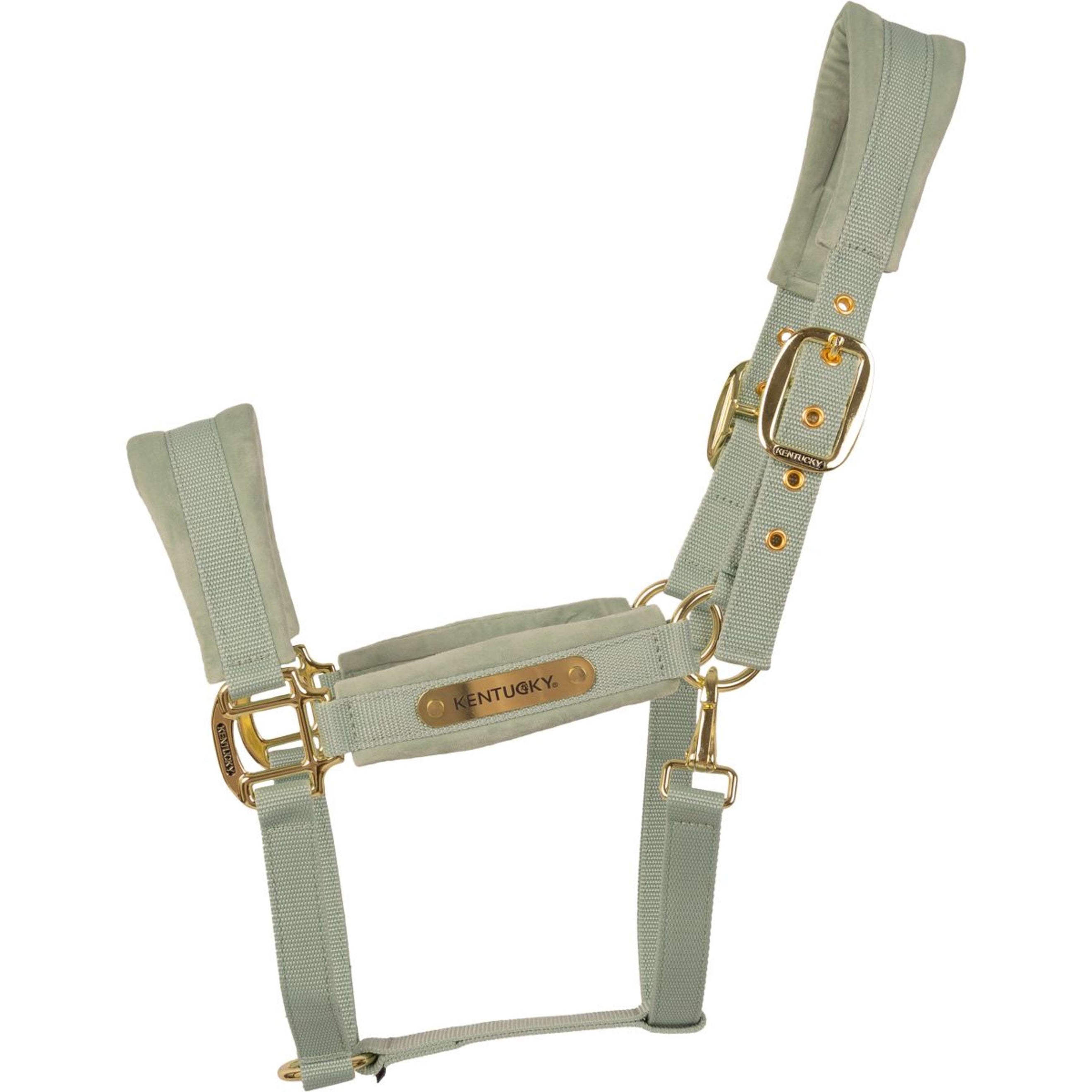 Kentucky Halfter Velvet Mint