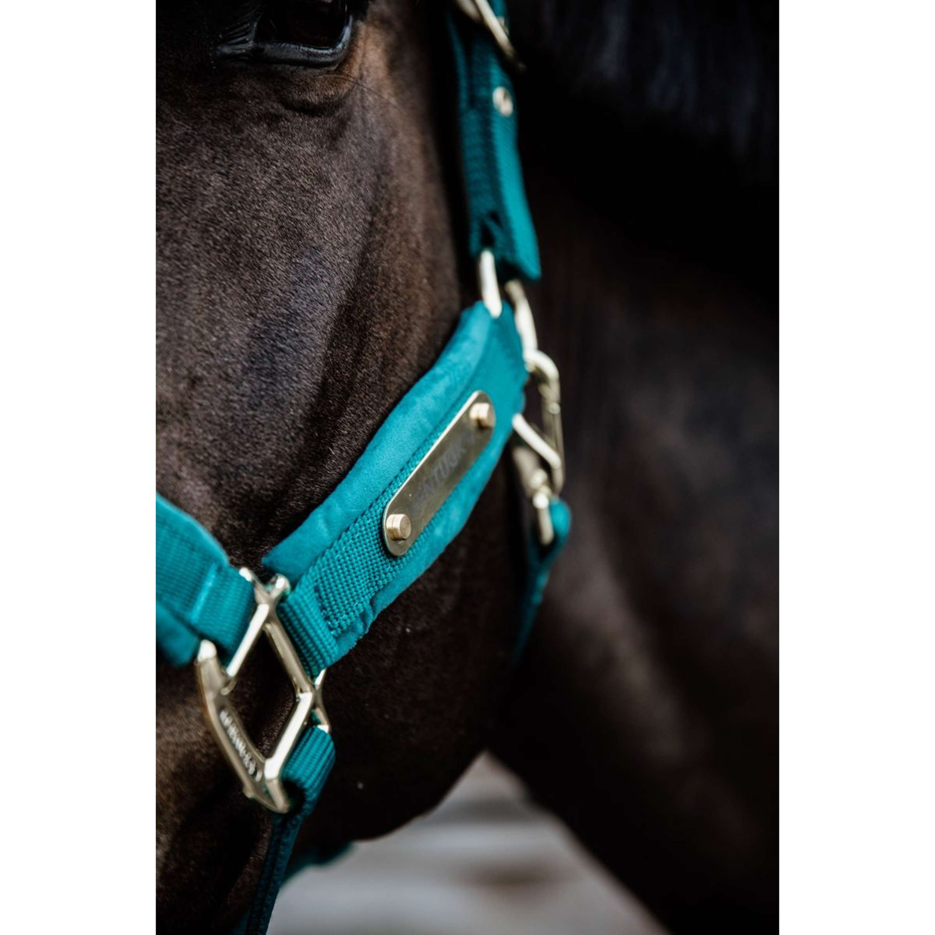 Kentucky Halfter Velvet Smaragdgrün