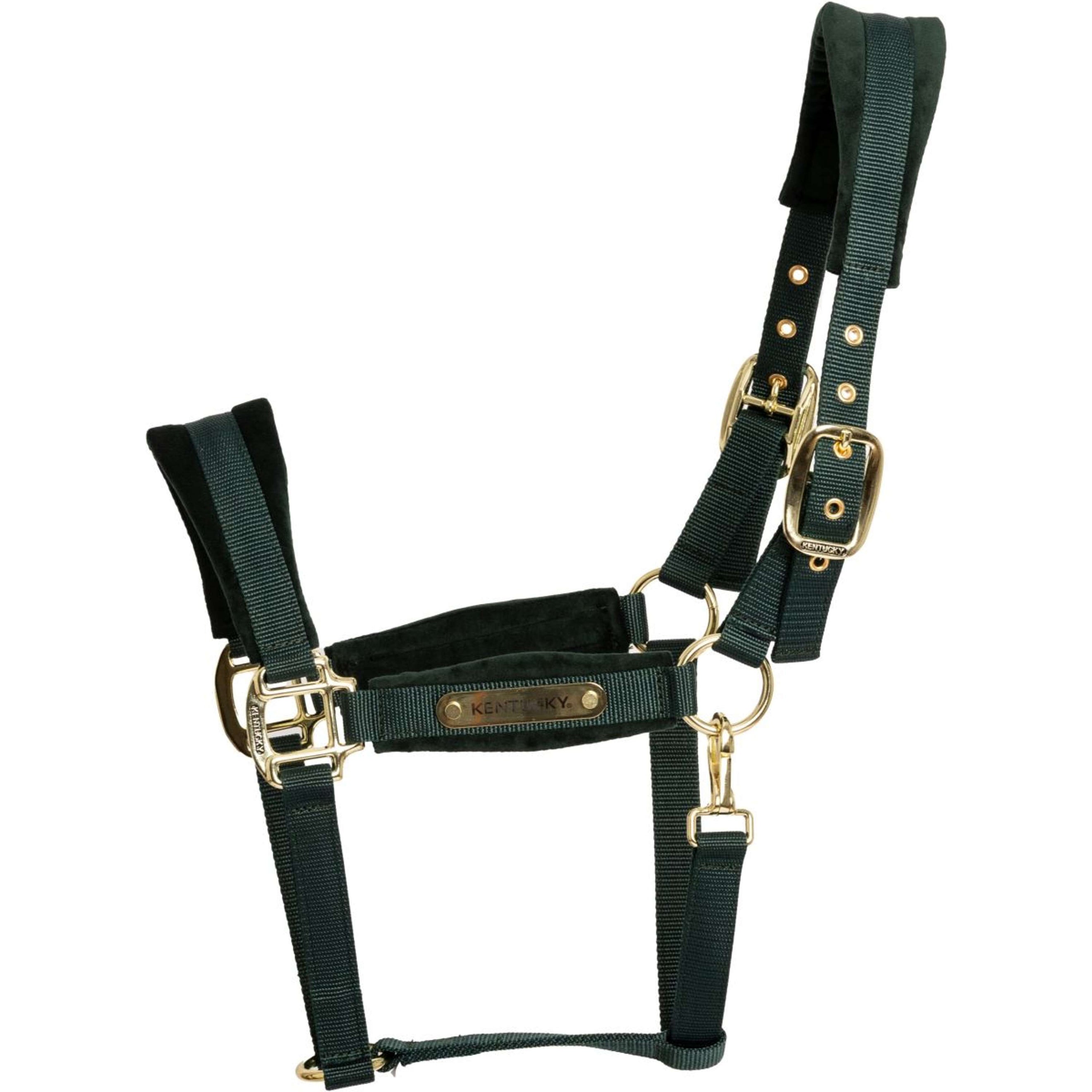 Kentucky Halfter Velvet Pine Green