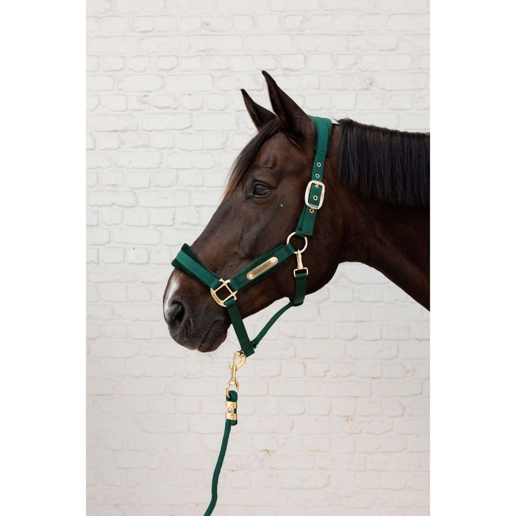 Kentucky Führstrick Basic Pine Green