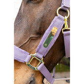 Kentucky Halfter Velvet Violett