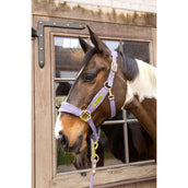 Kentucky Halfter Velvet Violett