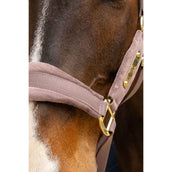 Kentucky Halfter Velvet Lila