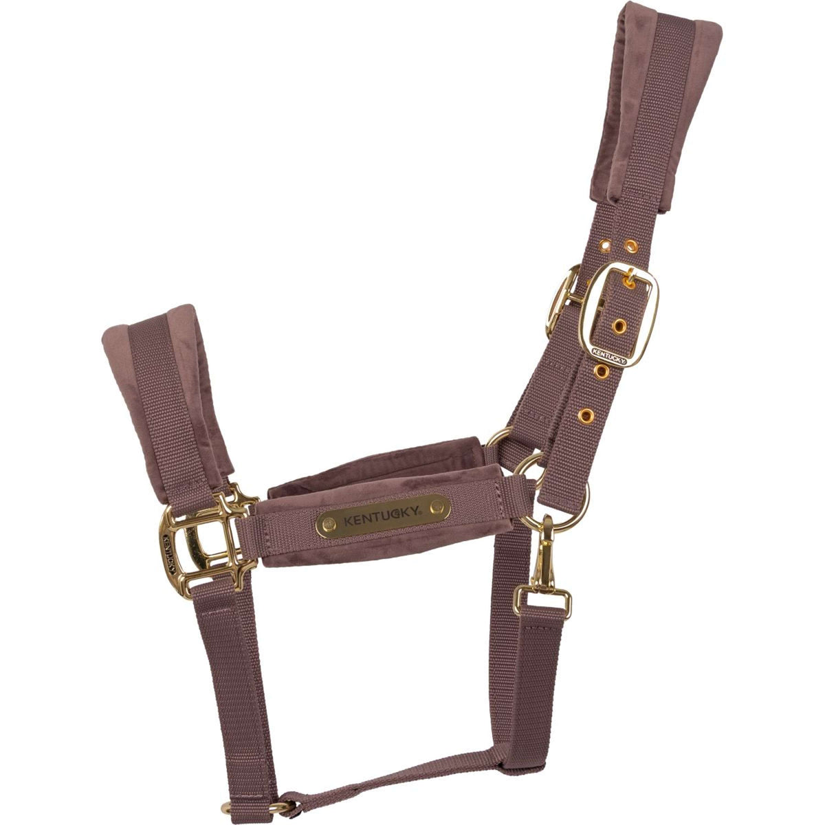 Kentucky Halfter Velvet Lila