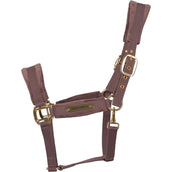 Kentucky Halfter Velvet Lila