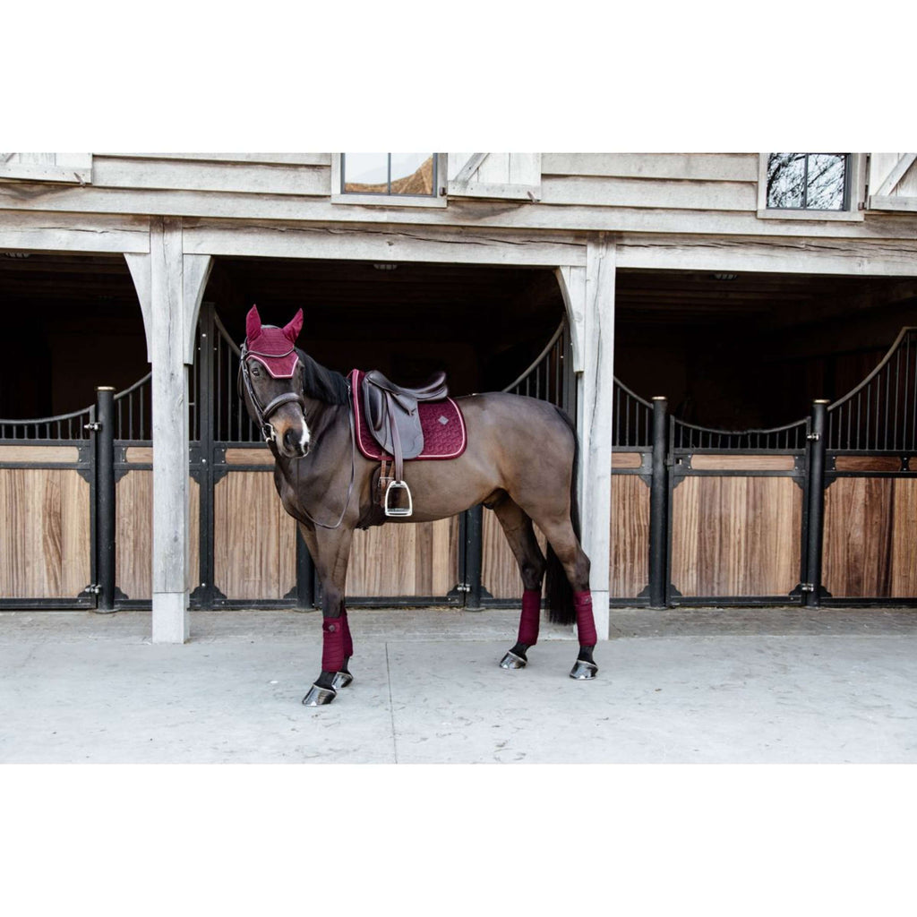 Kentucky Schabracke Velvet Dressur Bordeaux
