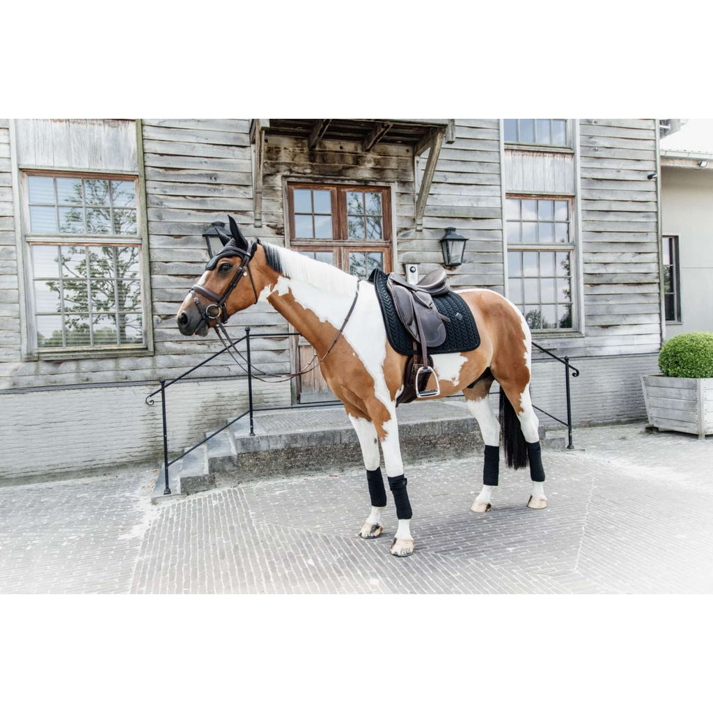 Kentucky Schabracke Velvet Pearls Dressur Schwarz