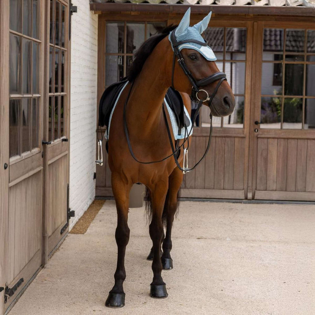 Kentucky Fliegenhaube Wellington Velvet Flags Hellblau