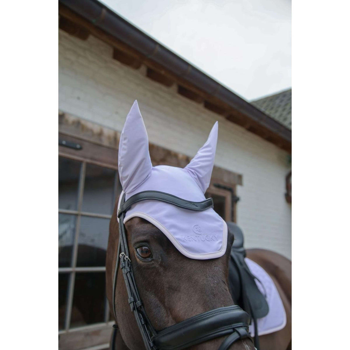 Kentucky Horsewear Fliegenhaube Wellington Softshell Hellviolett/Hellrosa