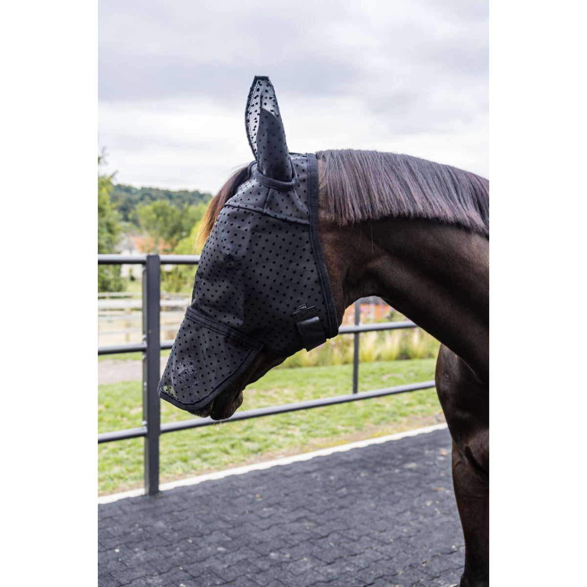 Kentucky Fliegenmaske Heart mit Ohren und Nase Schwarz