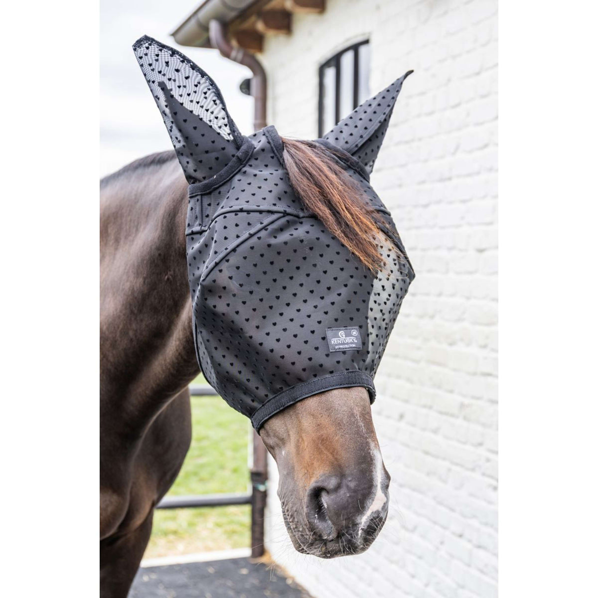Kentucky Fliegenmaske Heart mit Ohren und Nase Schwarz