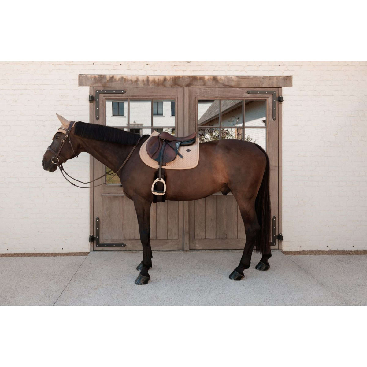 Kentucky Schabracke Velvet Mini Pearls Springen Beige