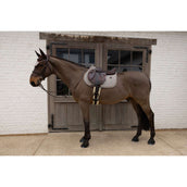 Kentucky Schabracke Velvet Pied De Poule Springen Braun