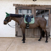 Kentucky Schabracke Velvet Pied De Poule Dressur Dunkel grün