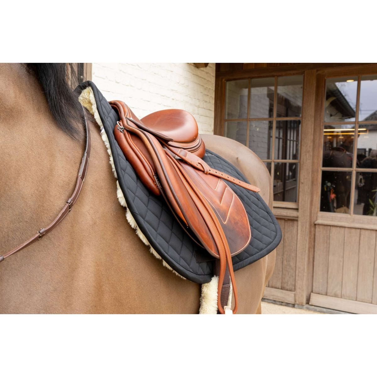 Kentucky Schabracke Skin Friendly Diamond Springen Schwarz