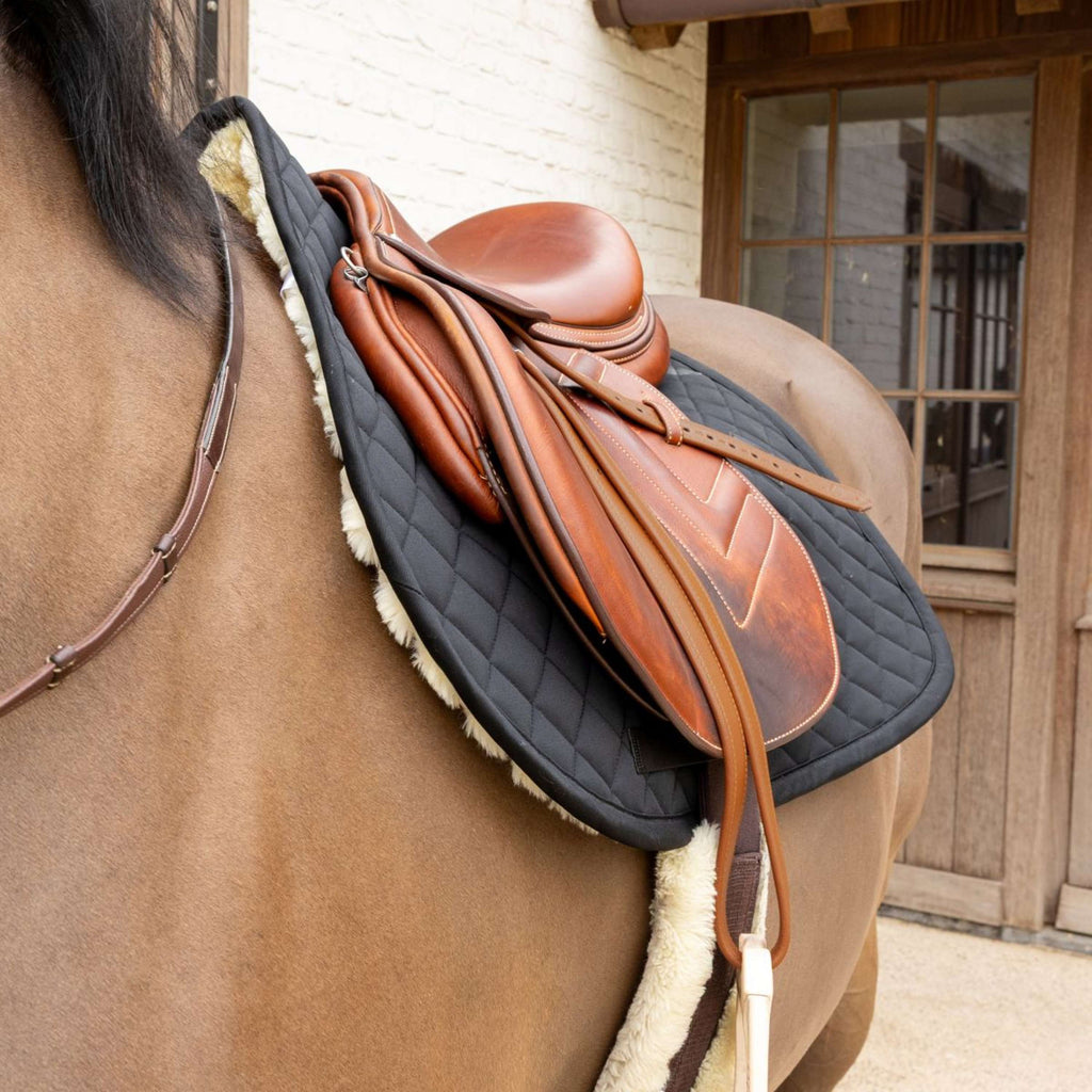 Kentucky Schabracke Skin Friendly Diamond Springen Schwarz