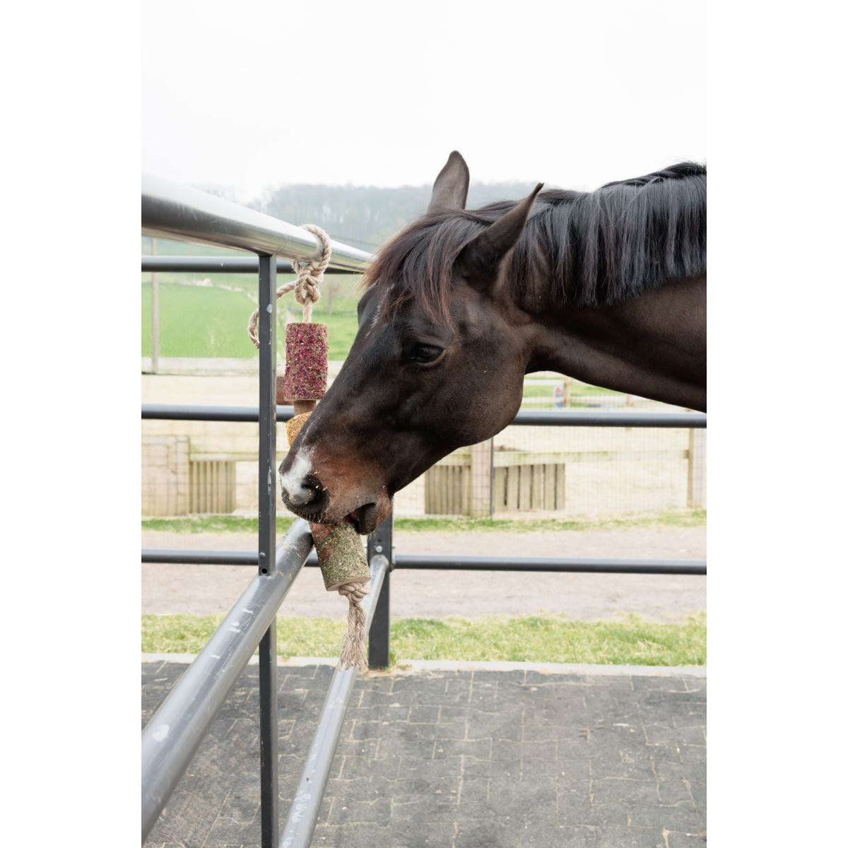 Grooming Deluxe by Kentucky Relax Horse Toy Wooden De-Stress