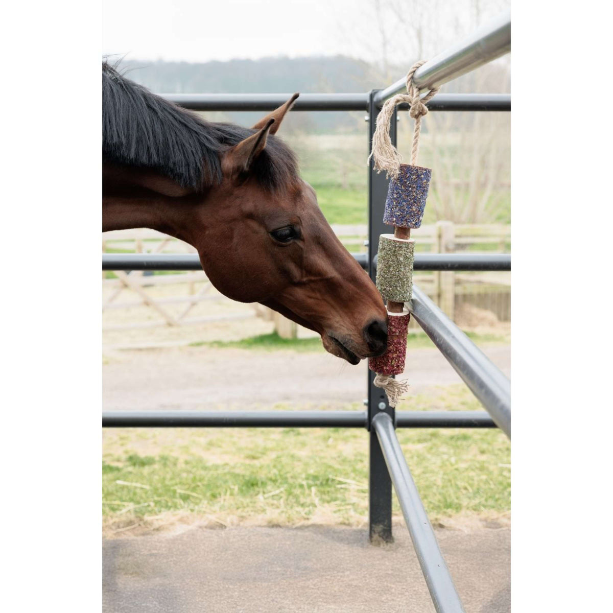 Grooming Deluxe by Kentucky Relax Horse Toy Wooden Freedom