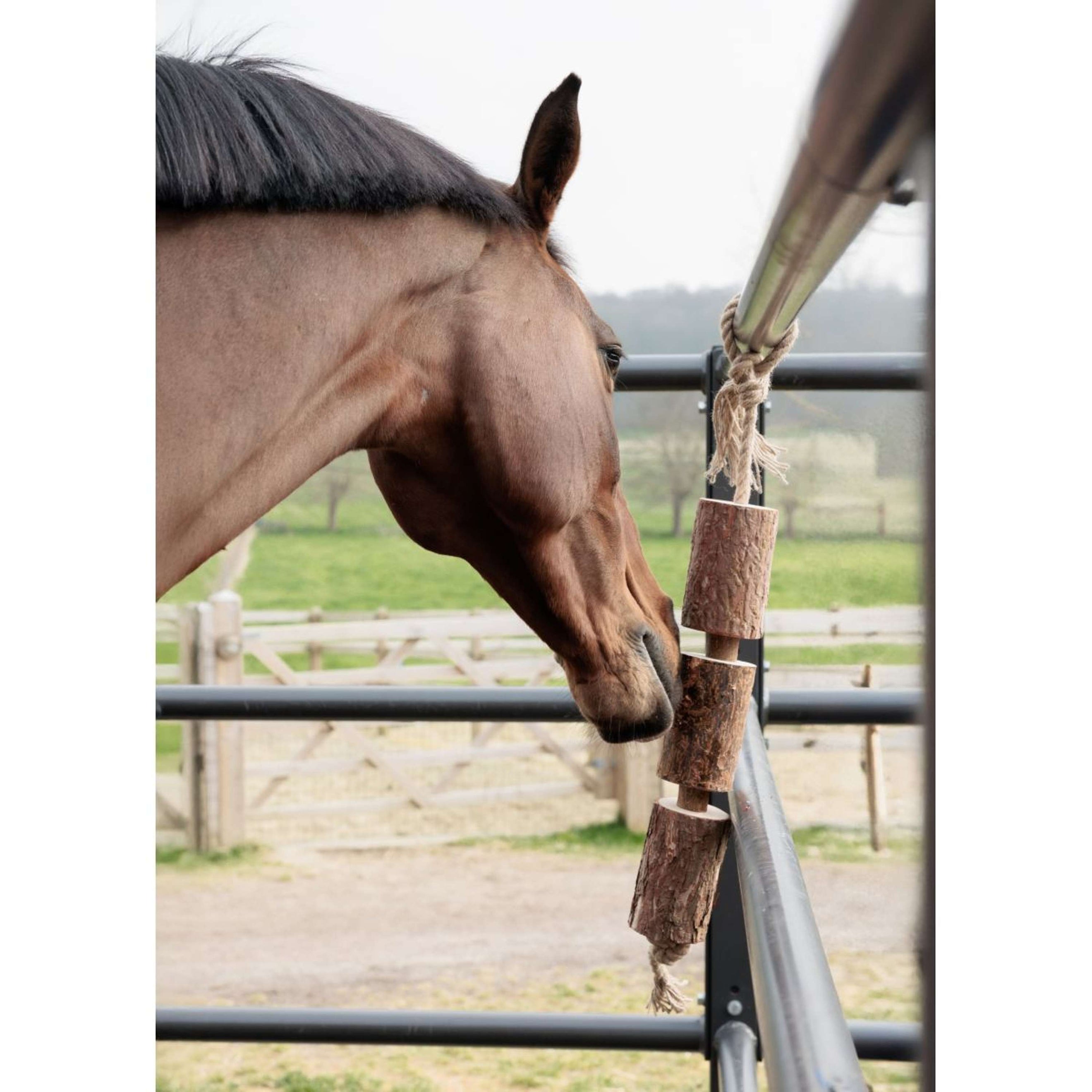 Grooming Deluxe by Kentucky Relax Horse Toy Wooden Made by Nature