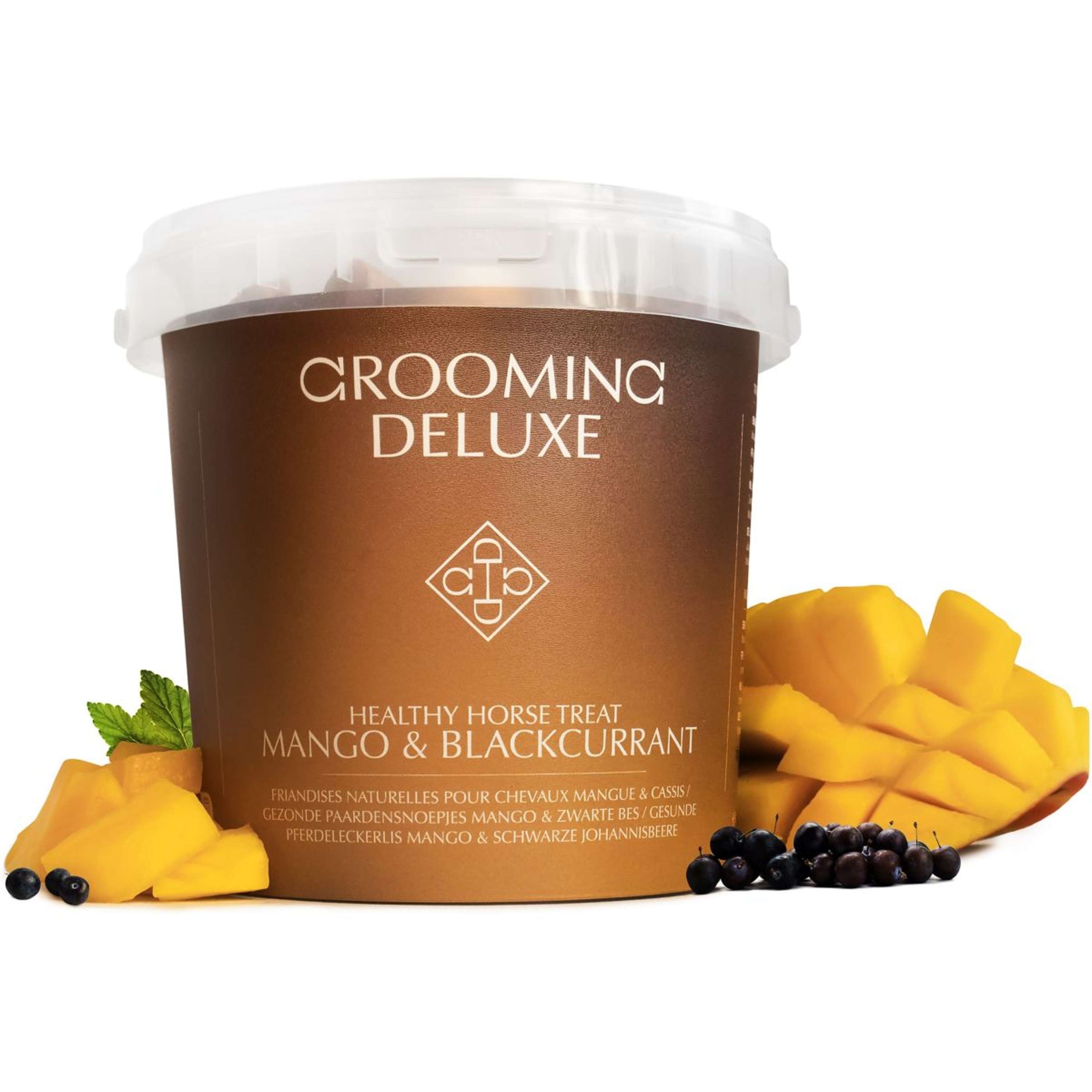 Kentucky Pferdeleckerli Healthy Horse Mango & Blackcurran