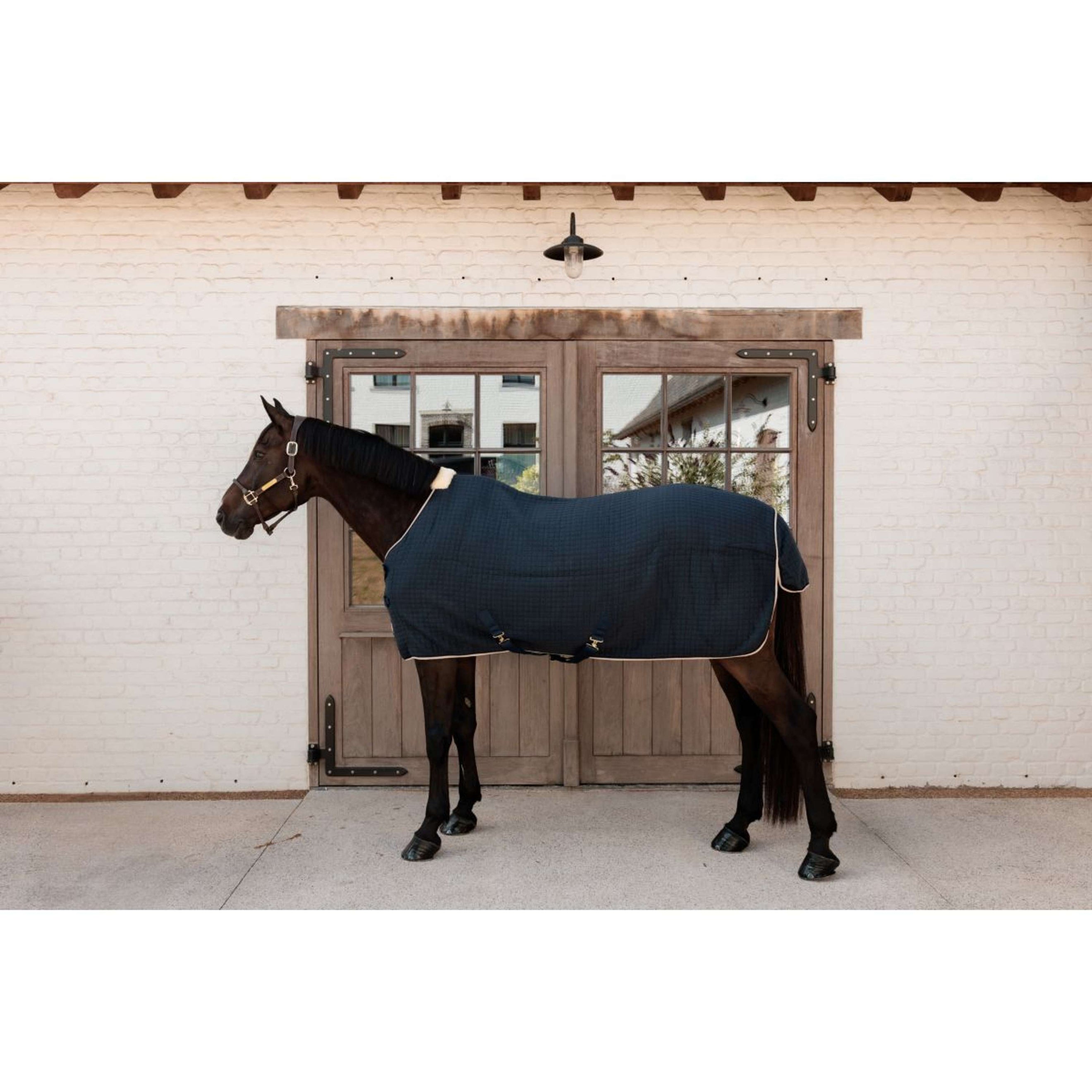 Kentucky Cooler PROTherm Navy Kentucky Cooler PROTherm Navy