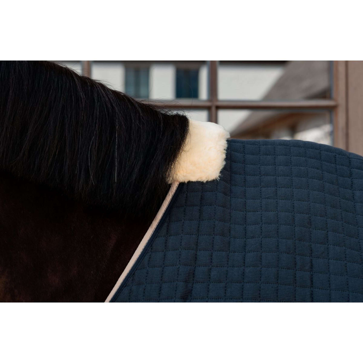 Kentucky Cooler PROTherm Navy