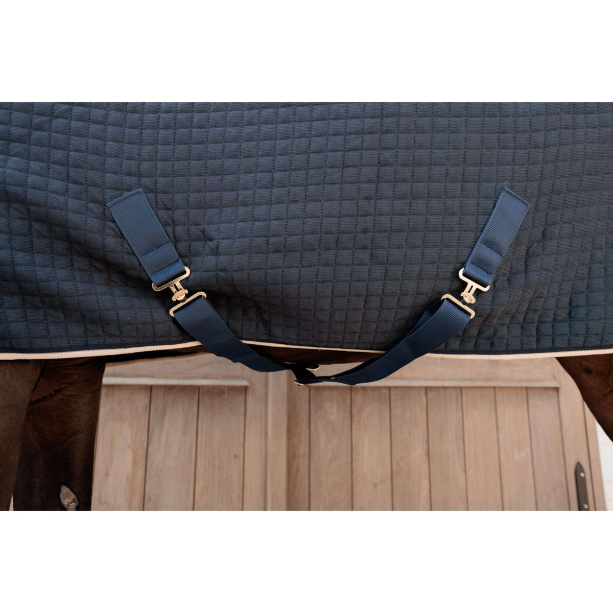 Kentucky Cooler PROTherm Navy