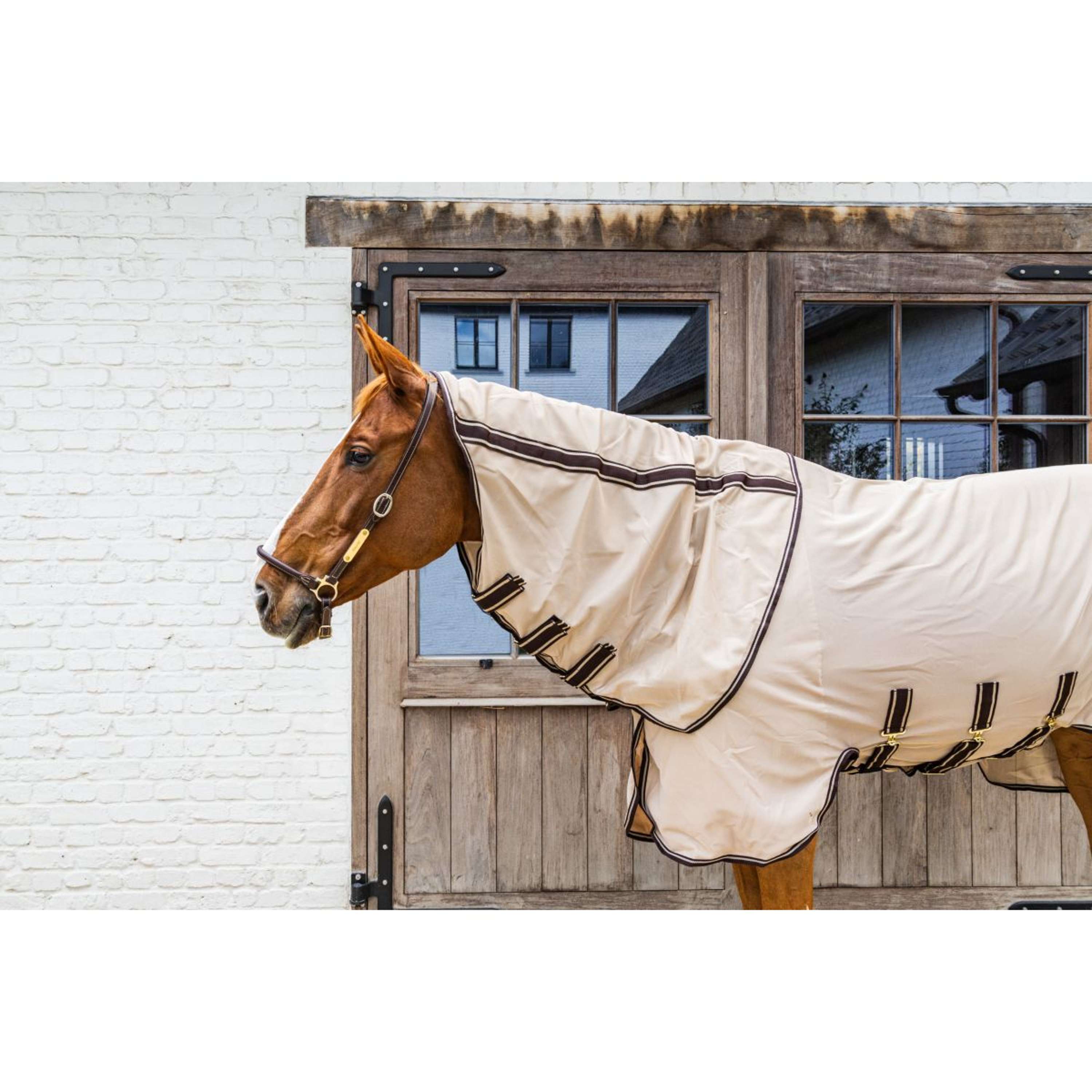 Kentucky Fliegendecke Comfort Mesh Beige/Braun
