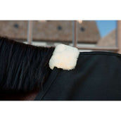 Kentucky Canvas Sheet Schwarz