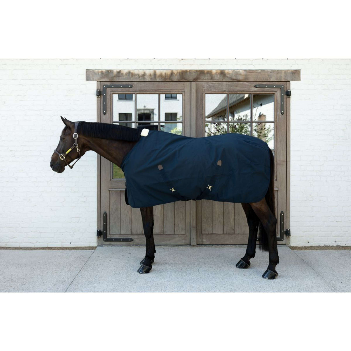 Kentucky Canvas Sheet Navy