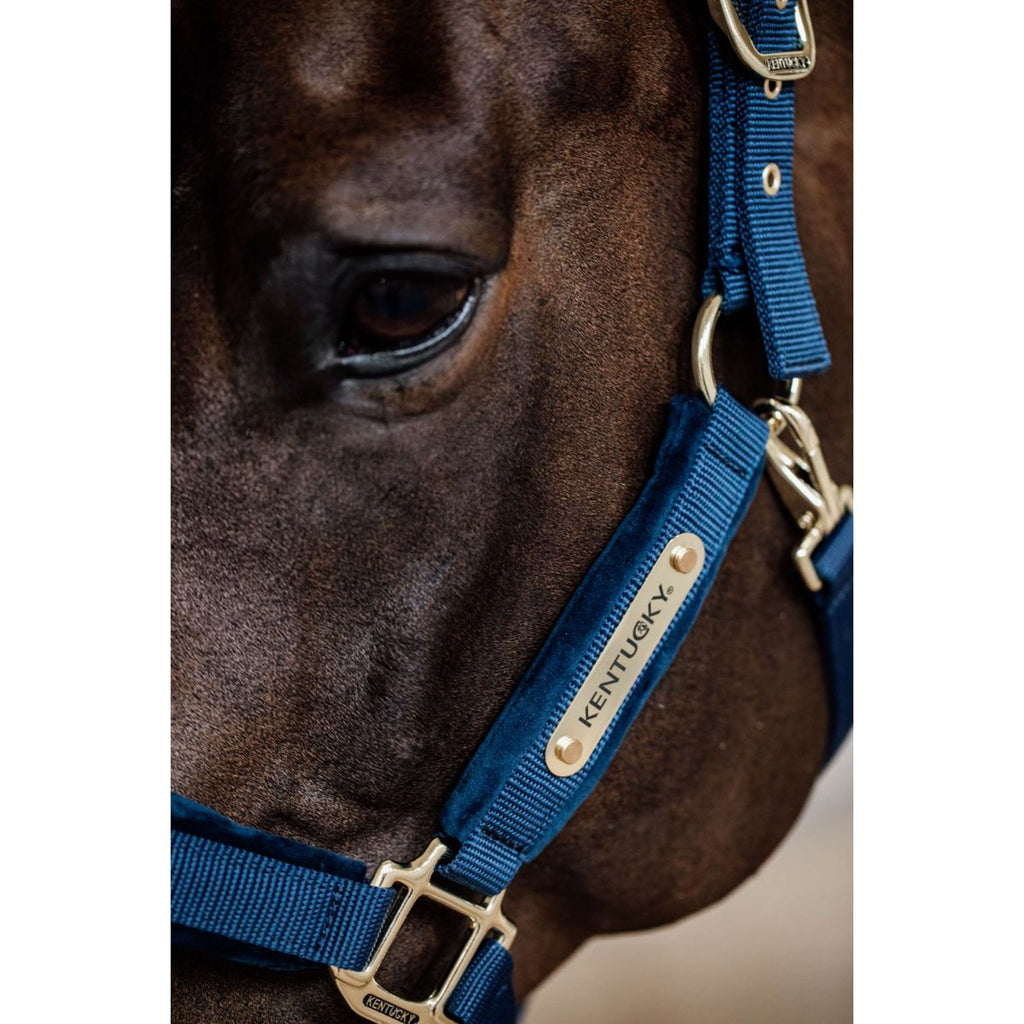 Kentucky Halfter Velvet Navy