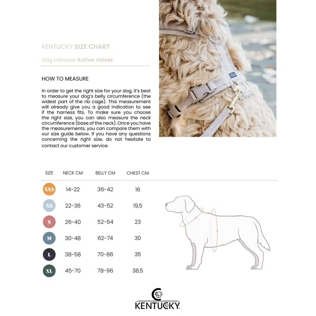 Kentucky Geschirr Active Velvet Beige