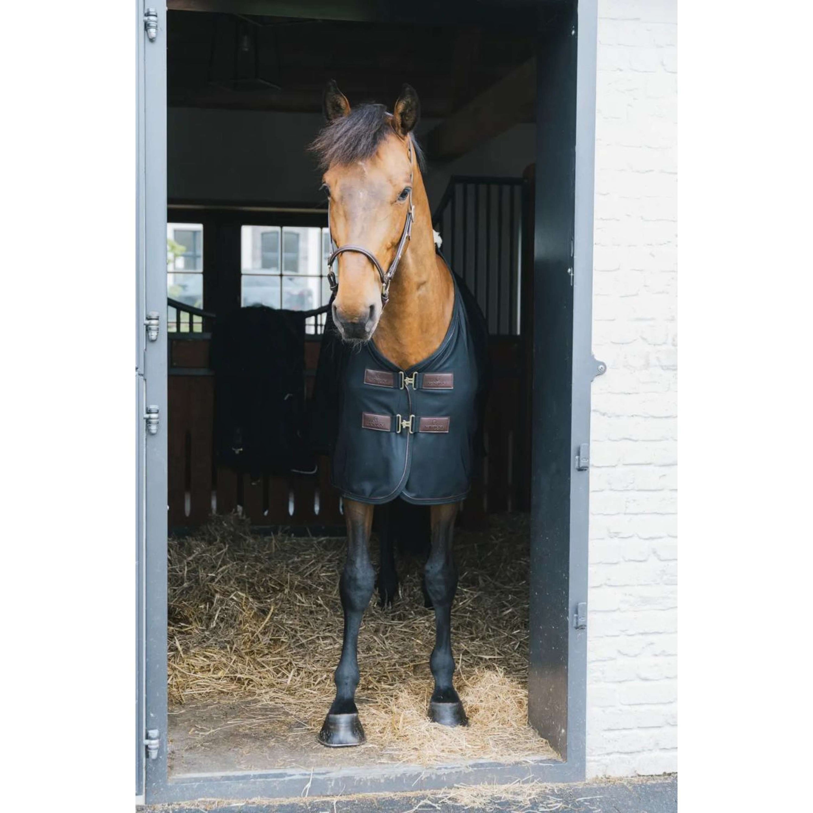 Kentucky Fliegendecke Mesh Schwarz Kentucky Fliegendecke Mesh Schwarz