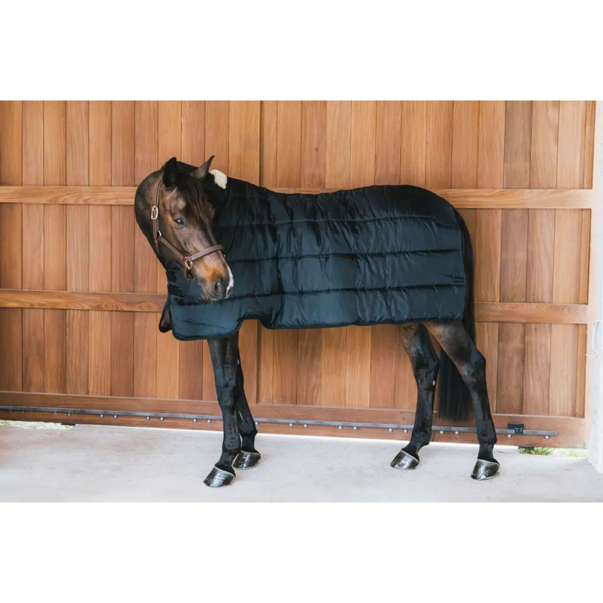 Kentucky Turnout Rug Comfort Liner Pro 200g Navy