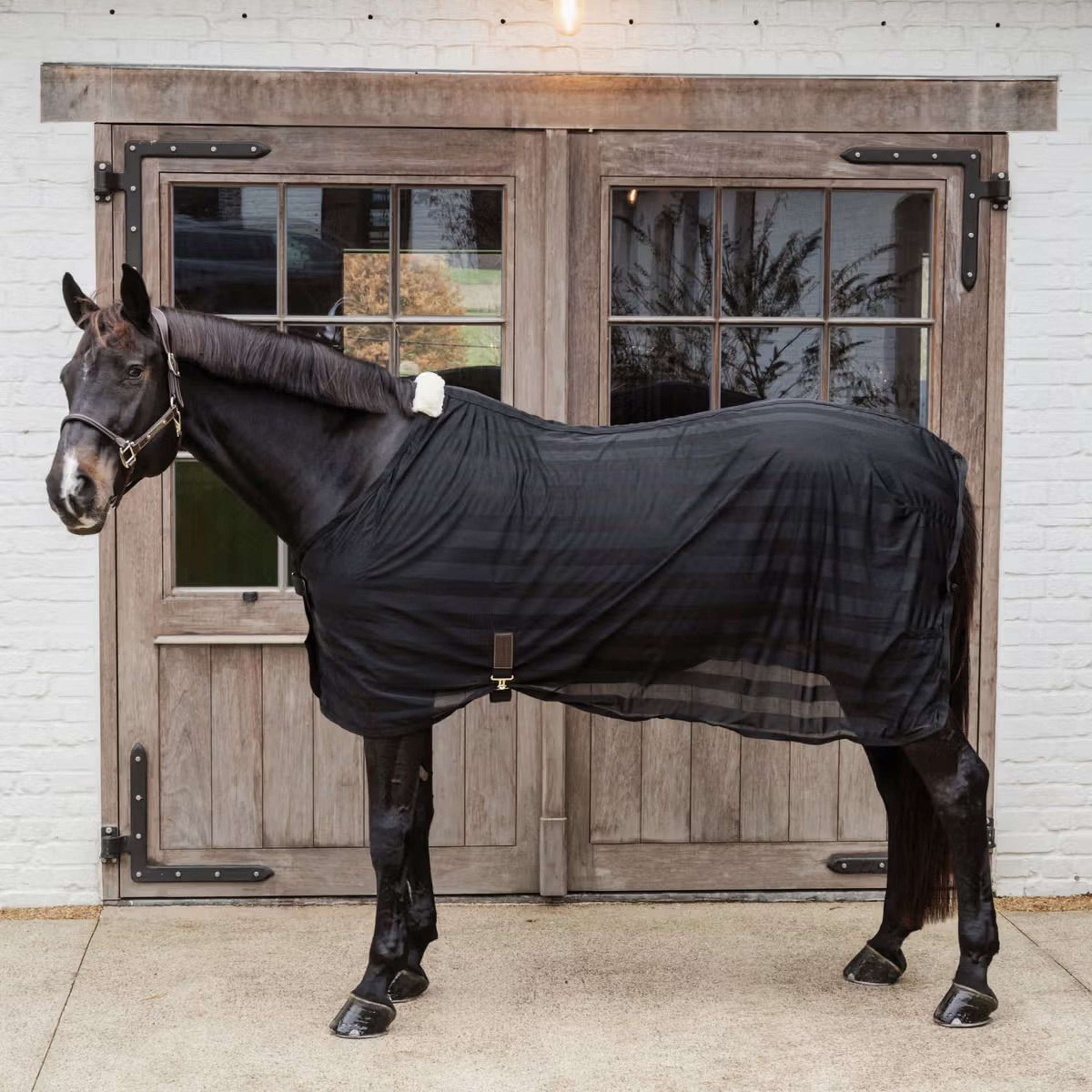 Kentucky Horsewear Fliegendecke Light Striped Mesh Schwarz Kentucky Horsewear Fliegendecke Light Striped Mesh Schwarz