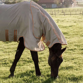 Kentucky Horsewear Fliegendecke Comfort Mesh Beige/Orange